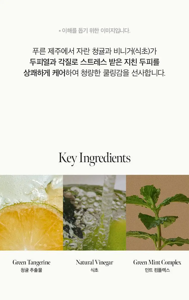 [지성두피/두피스케일링] 아닐로 라임썬데이 리프레시 스크럽 샴푸&비니거 세트 상세페이지 23